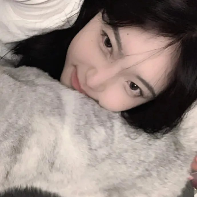 野马齐格和爱丽丝国语