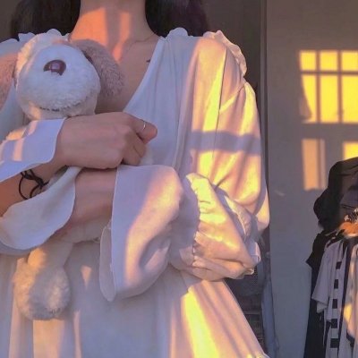 切斯纳特：中央公园的英雄